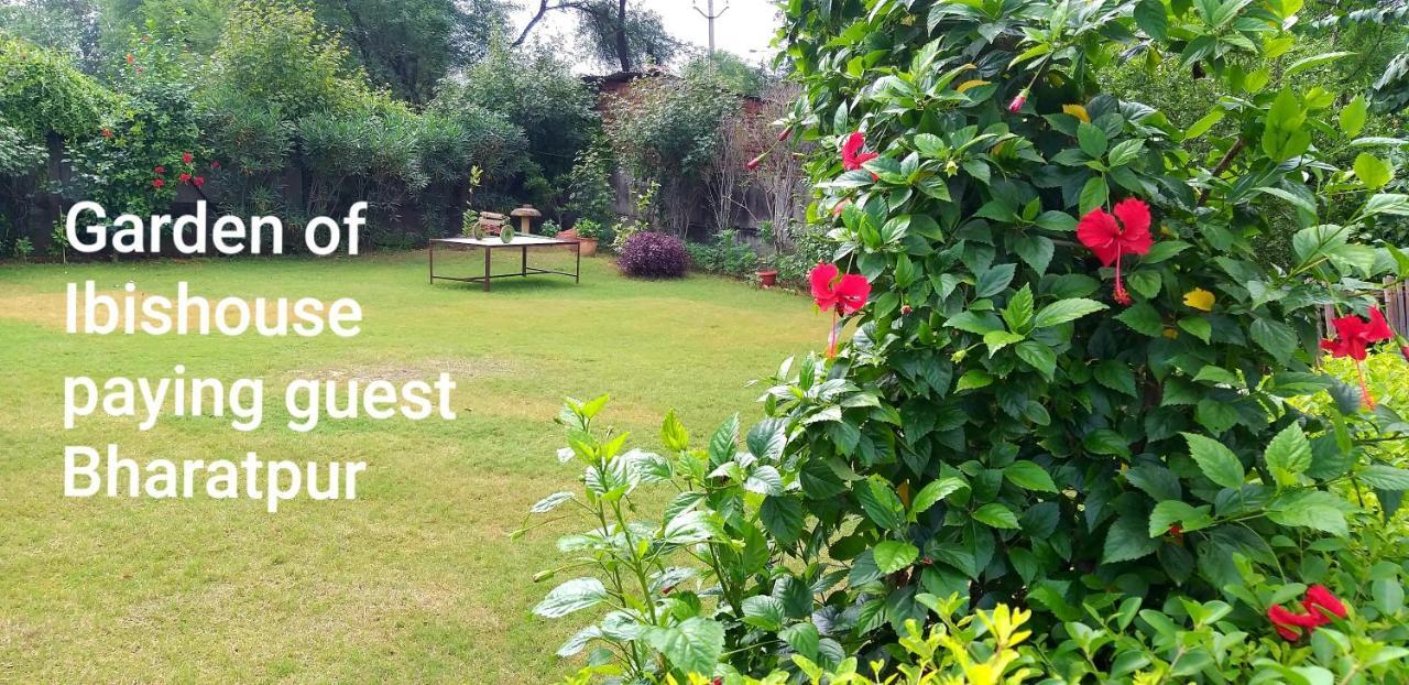 Ibishouse Farm Stay Баратпур Екстериор снимка